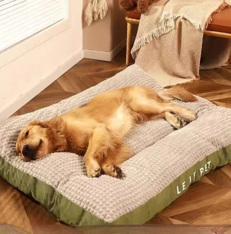 PawDreamer-Bett