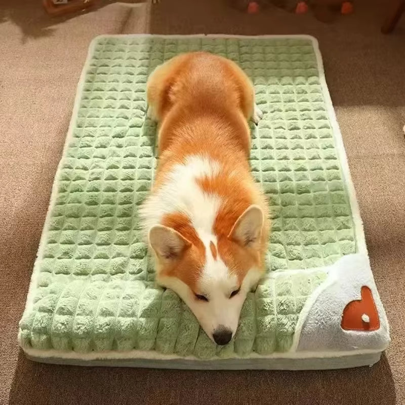Kuscheliges Hundebett