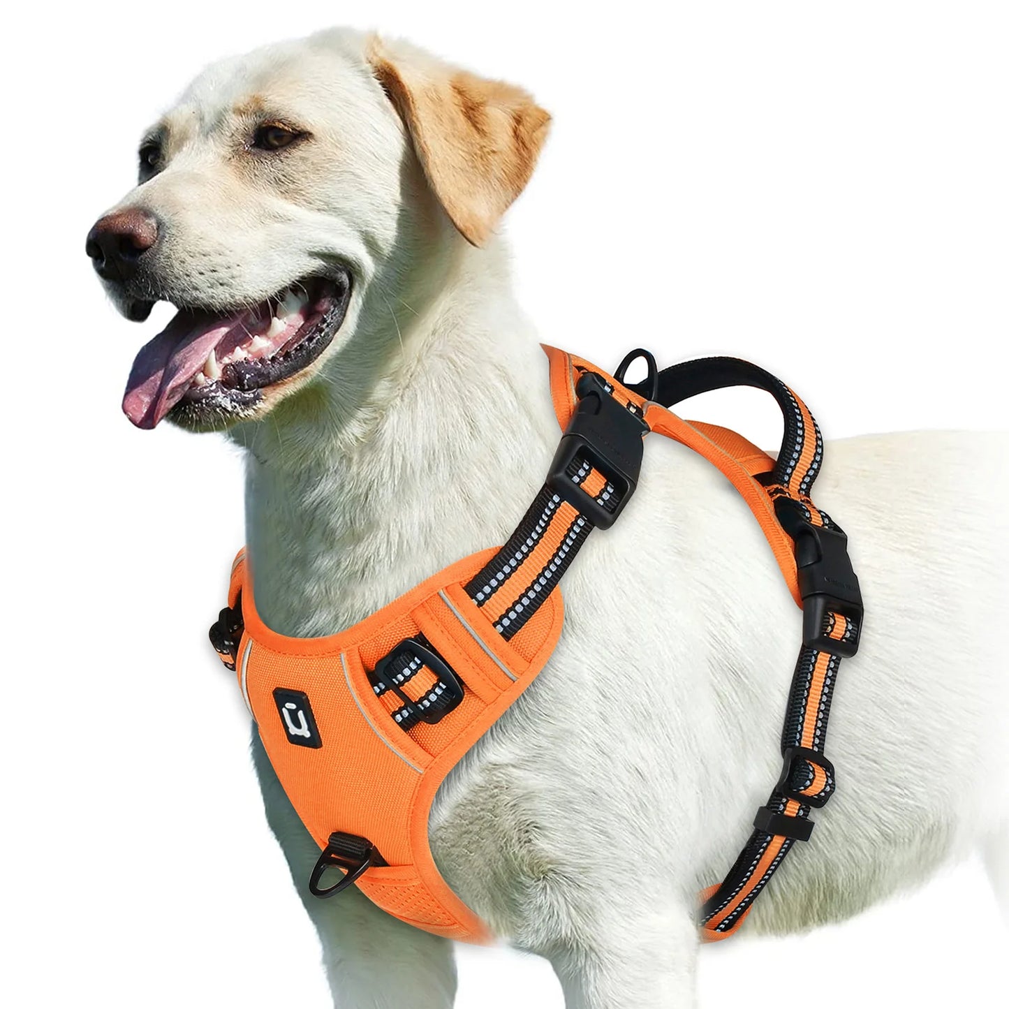 Hundegeschirr Reflect-Plus