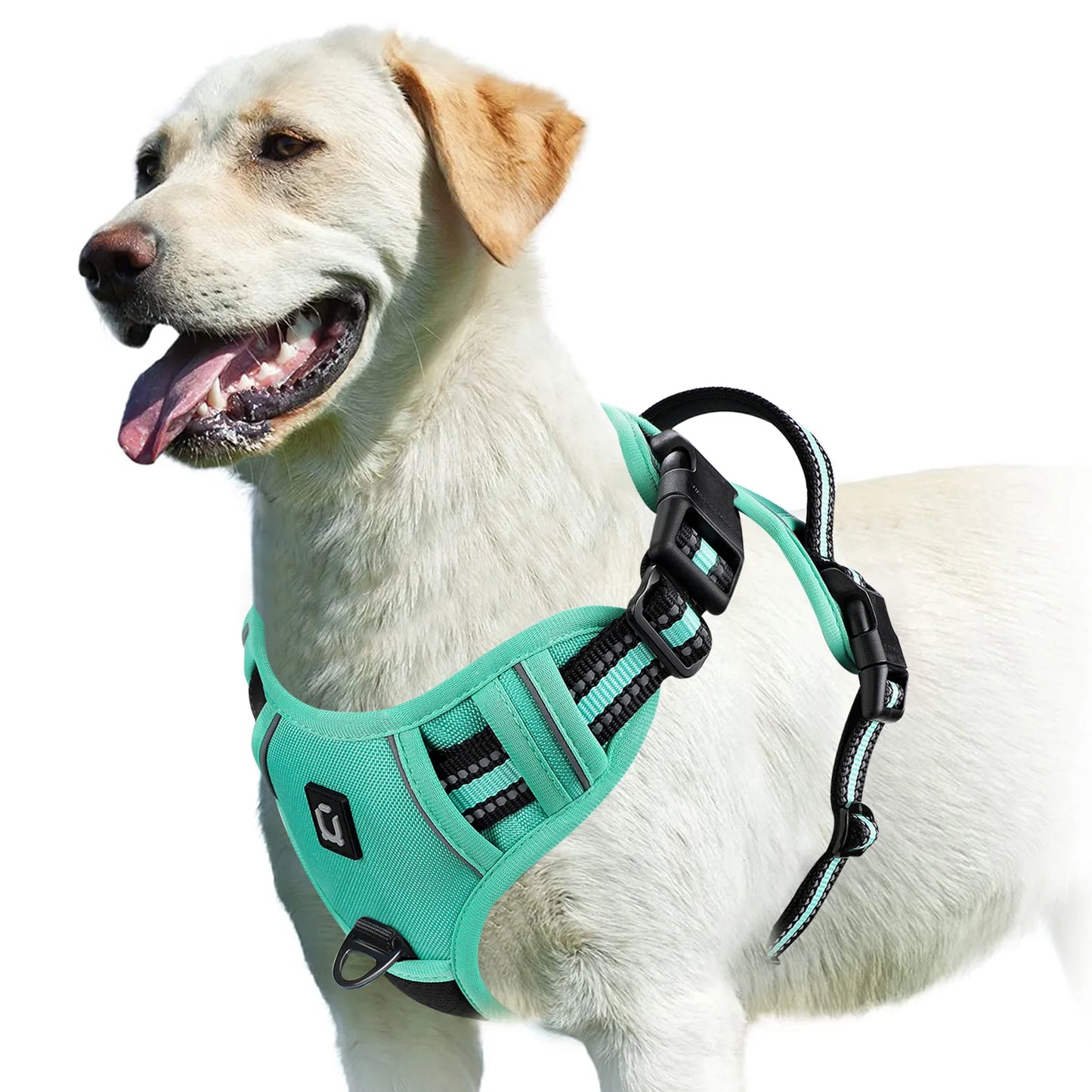 Hundegeschirr Reflect-Plus