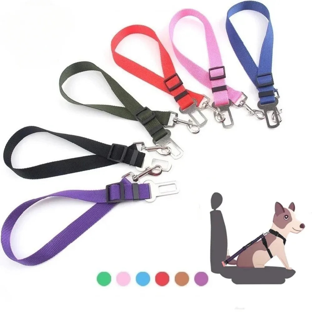 Sicherheitsgurt für Hunde & Katzen
