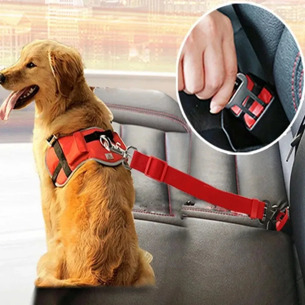 Sicherheitsgurt für Hunde & Katzen