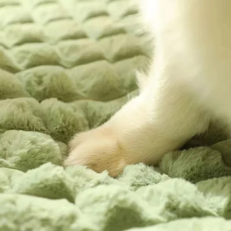 Kuscheliges Hundebett