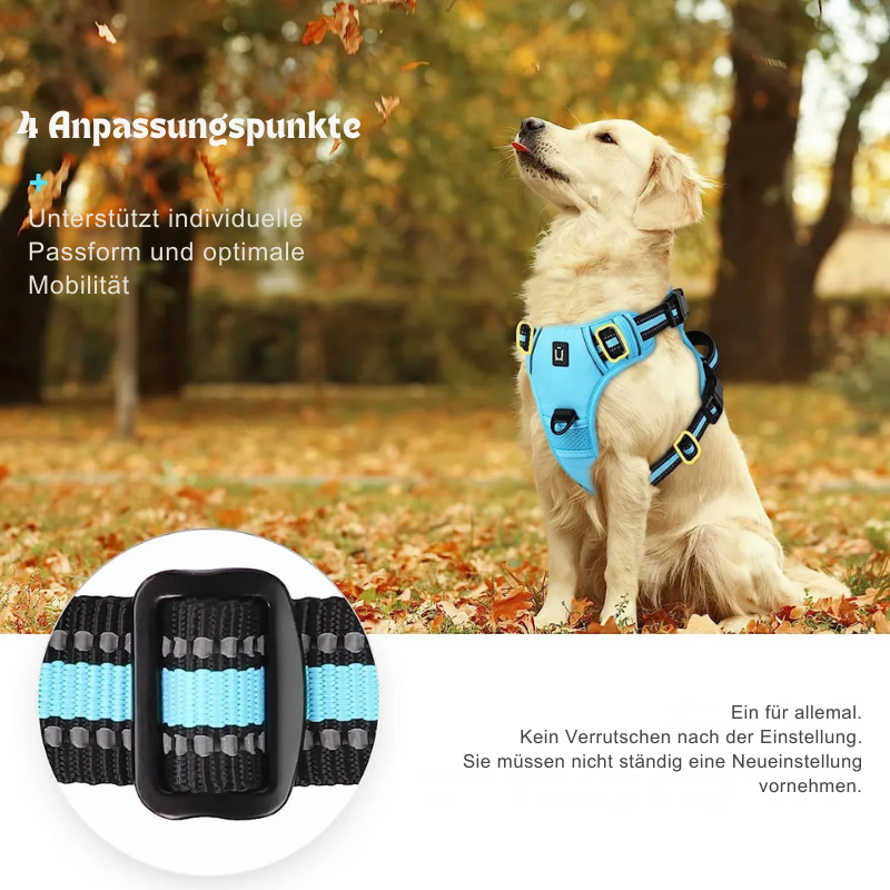 Hundegeschirr Reflect-Plus