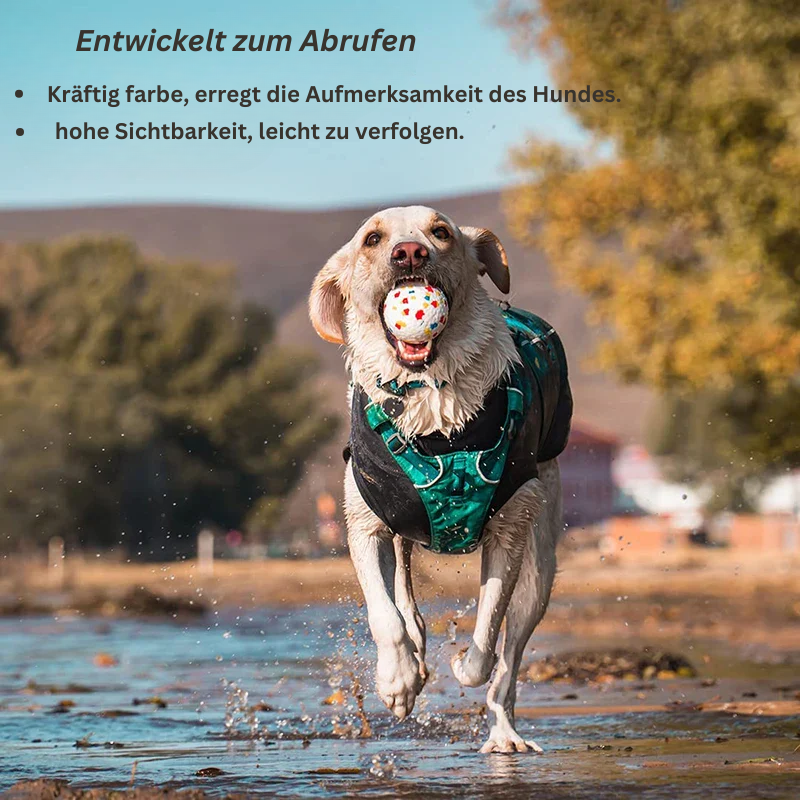 BettFit Kauspiel Spaßball