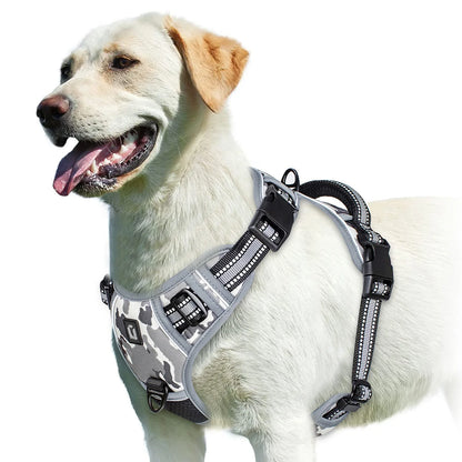 Hundegeschirr Reflect-Plus