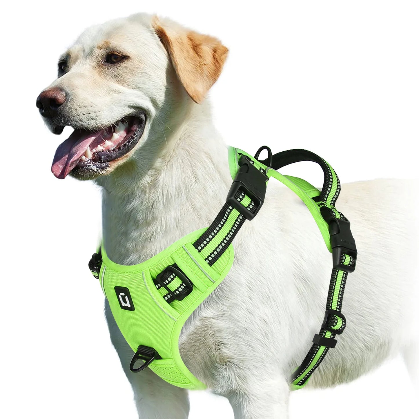 Hundegeschirr Reflect-Plus