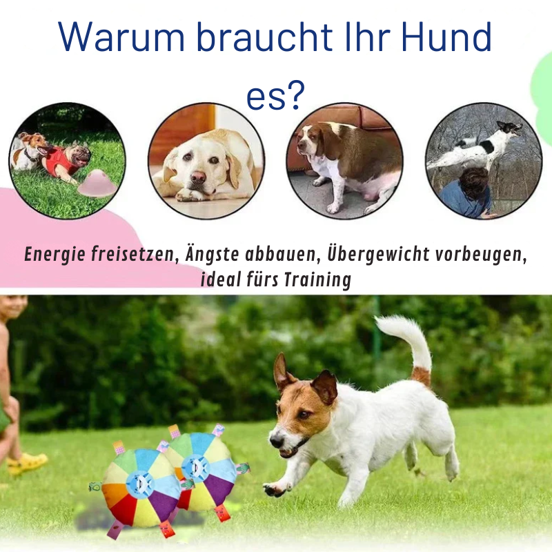 Bunte Plüsch-Flugscheibe für Hunde – Spaß & Training