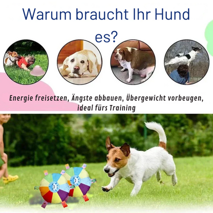 Bunte Plüsch-Flugscheibe für Hunde – Spaß & Training